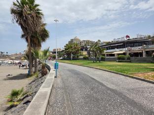 Dining options and palm-lined roads by the beach