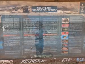Information panel about Hocico del Perro