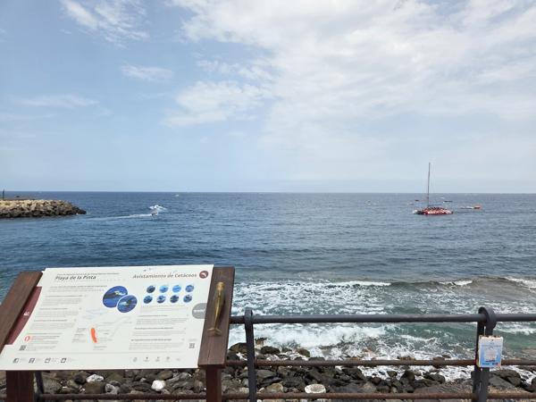 Red catamaran and boats leaving from Puerto Colón