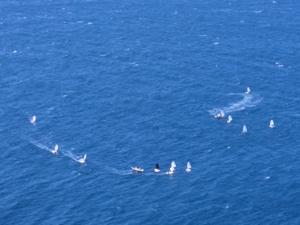 Small sailing dinghies training in formation on deep blue water off Radazul.