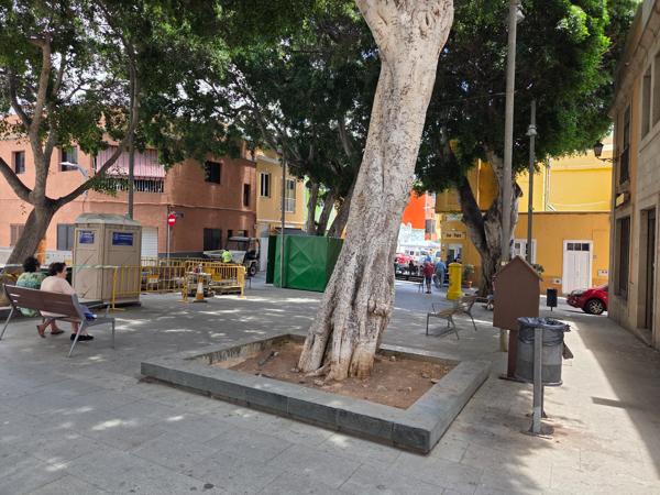 Benches and trees in church square